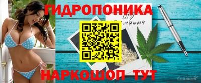 стафф Абинск