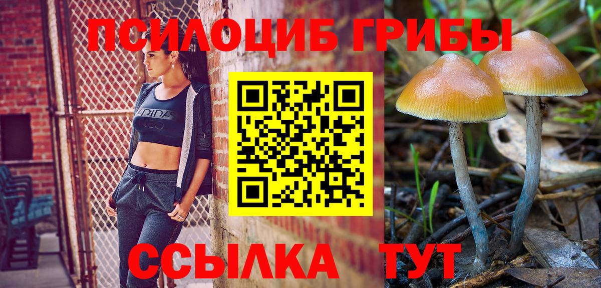 Псилоцибиновые грибы MAGIC MUSHROOMS Альметьевск