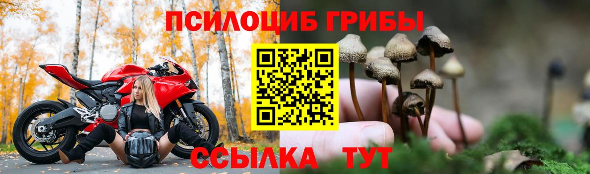Галлюциногенные грибы мухоморы  Галлюциногенные грибы Magic Shrooms  Вход с VPN  Альметьевск 